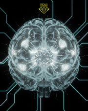 The Sparkle Algorithm: Why Humans Are Naturally Attracted to Shiny Things