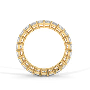 Eclipse of Elegance Band